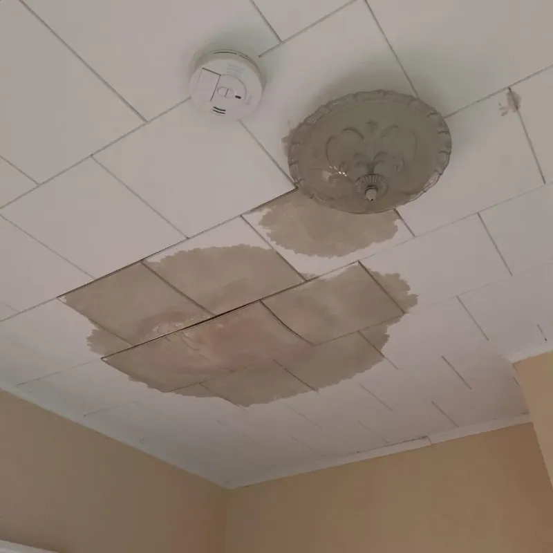 Ceiling Water Damage Repair in Gallatin County, IL
