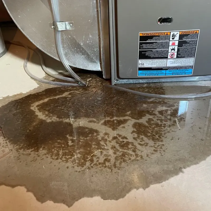 Pipe Burst and Leak Restoration in Gallatin County, IL