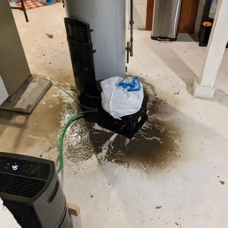 Sewage Backup Cleanup Service in Gallatin County, IL
